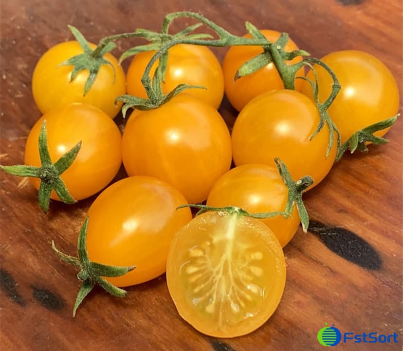 yellow tomato sorter1.jpg yellow tomato sorter1.jpg